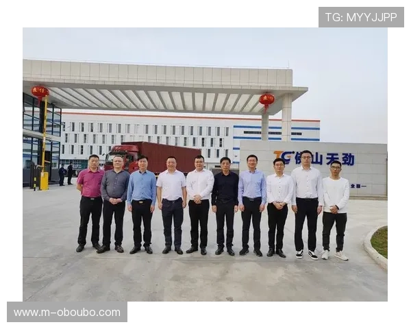 欧博代理平台官网入口:详细介绍官方入口的访问方法与安全保障措施