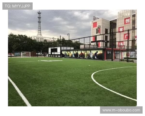 欧博体育app支持的多种体育赛事类型详解，满足不同用户的需求