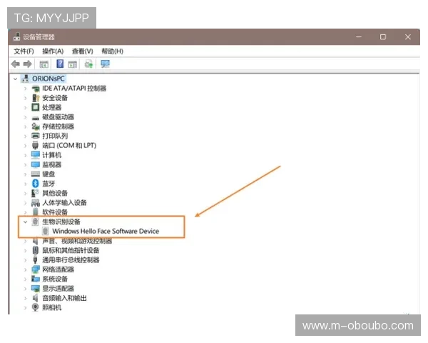 欧博体育官方网址常见问题解答，解决用户在登录与使用中遇到的各种疑问