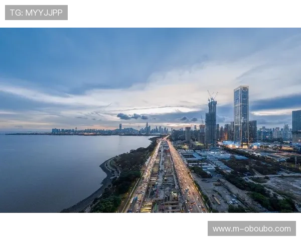 欧博国际app安全可靠性分析，保障用户资金与信息安全