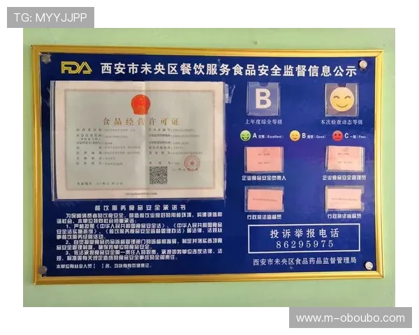 欧博官方网站登录安全验证措施，保障用户账户信息的绝对安全