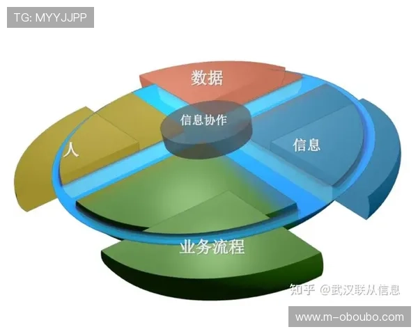 欧博管理流程在企业信息化建设中的应用效果与优化建议