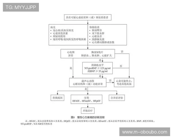 欧博会员注册流程图操作指南详解让新用户快速熟悉注册流程提升体验感
